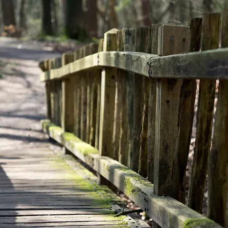 De Sprengen Bed & Breakfast