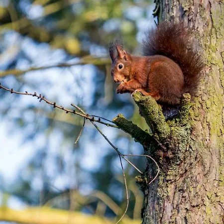 De Sprengen Bed & Breakfast *