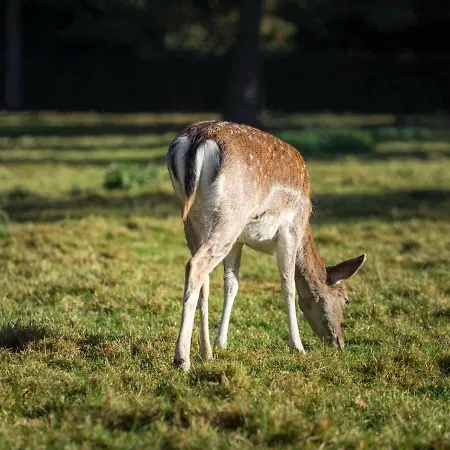 Bed & Breakfast De Sprengen *