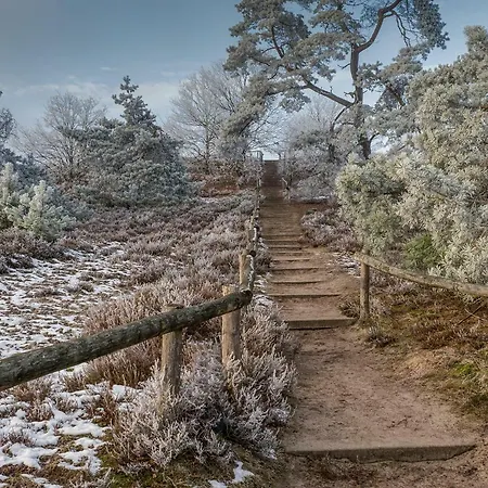 Bed & Breakfast De Sprengen
