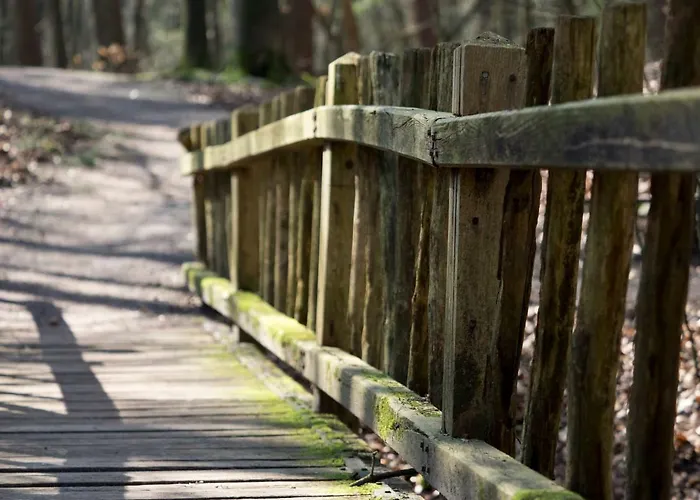 De Sprengen Bed and breakfast