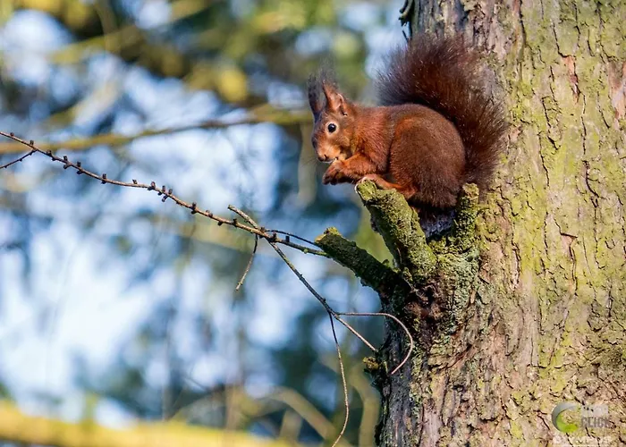 De Sprengen Bed and breakfast *