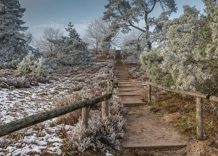 Bed and breakfast De Sprengen