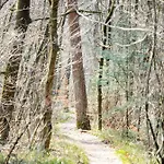 De Sprengen * Epe